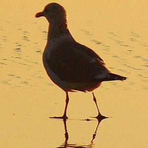 Meet your Posher, Jhan